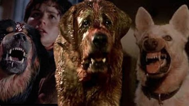 12 Best Killer Dog Movies, Ranked