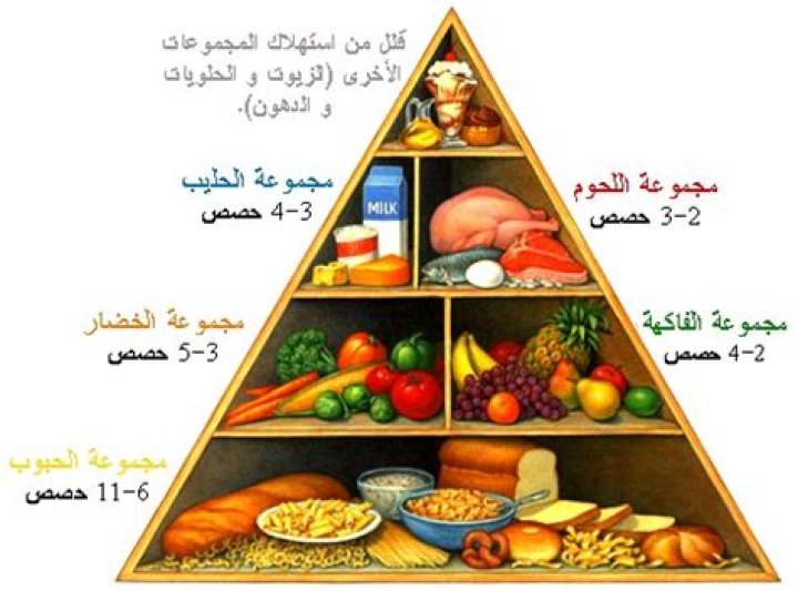 بحث عن دور الخدمة الاجتماعية في المجال المدرسي