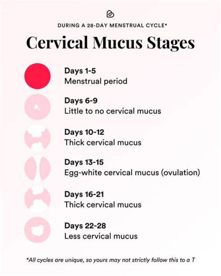 ما معنى mucus او المخاط في تحليل البول