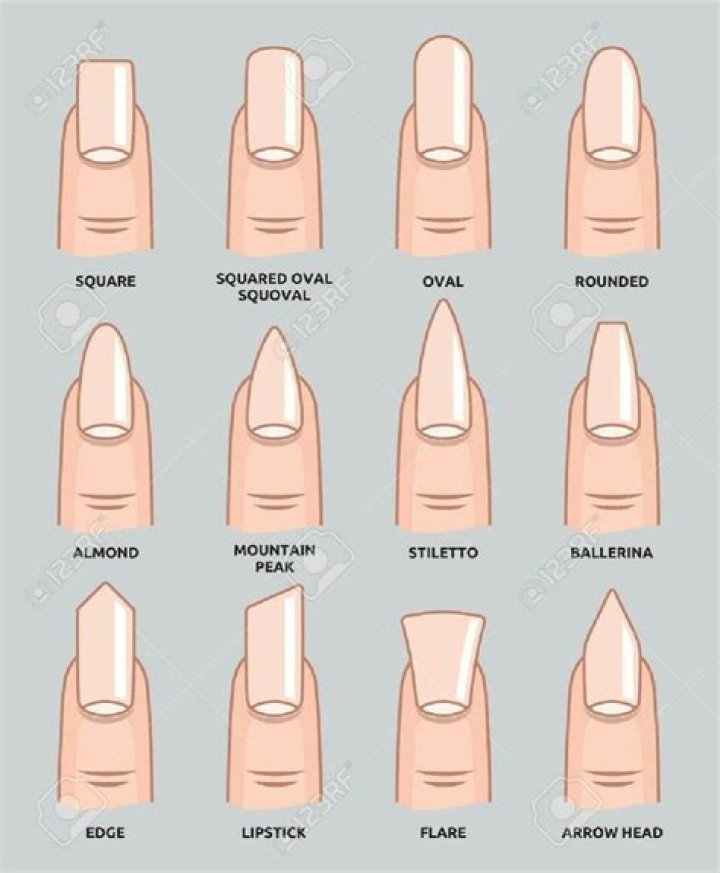acrylic nail shapes 20 free Cliparts Download images on Clipground 2024