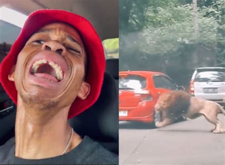 African comedian William Last's recent TikTok video has taken the internet by storm, featuring a hilarious skit involving a lion African comedian William Last's recent TikTok video has taken the internet by storm, featuring a hilarious skit involving a lion