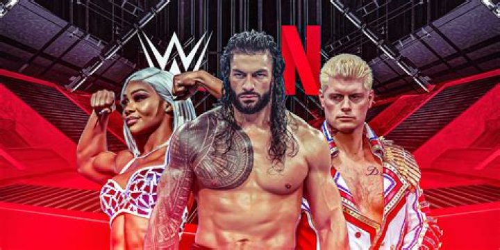 All You Need To Know About WWE Paige's Husband: A Complete Guide