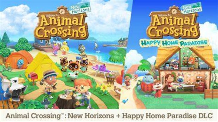 Animal Crossing: New Horizons DLC That Should've Happened