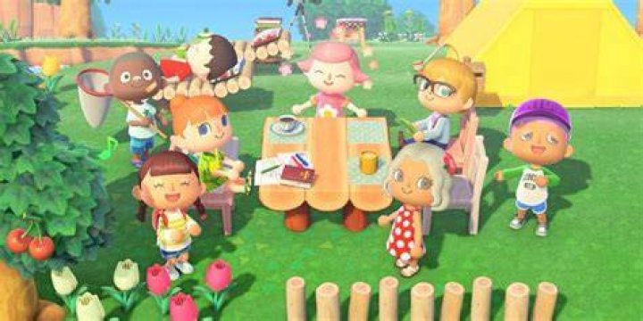 Animal Crossing New Horizons Multiplayer Co Op