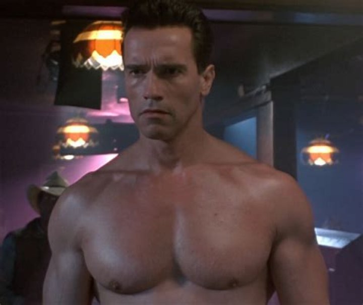 Arnold Schwarzenegger In Terminator 2 Judgment Day