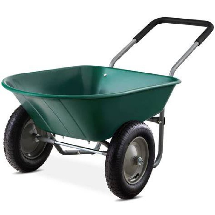 Bart in a wheelbarrow in The Simpsons