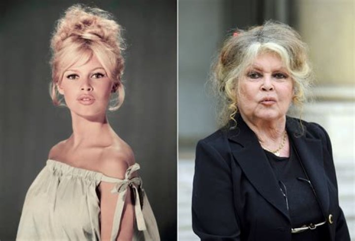 Brigitte Bardot Net Worth 2024 Salary, Bf and Age