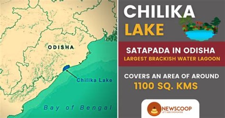 CHILIKA LAKE, BALUGAON, Odhish // Beautiful Birts Chilika// pk ଚିଲିକା