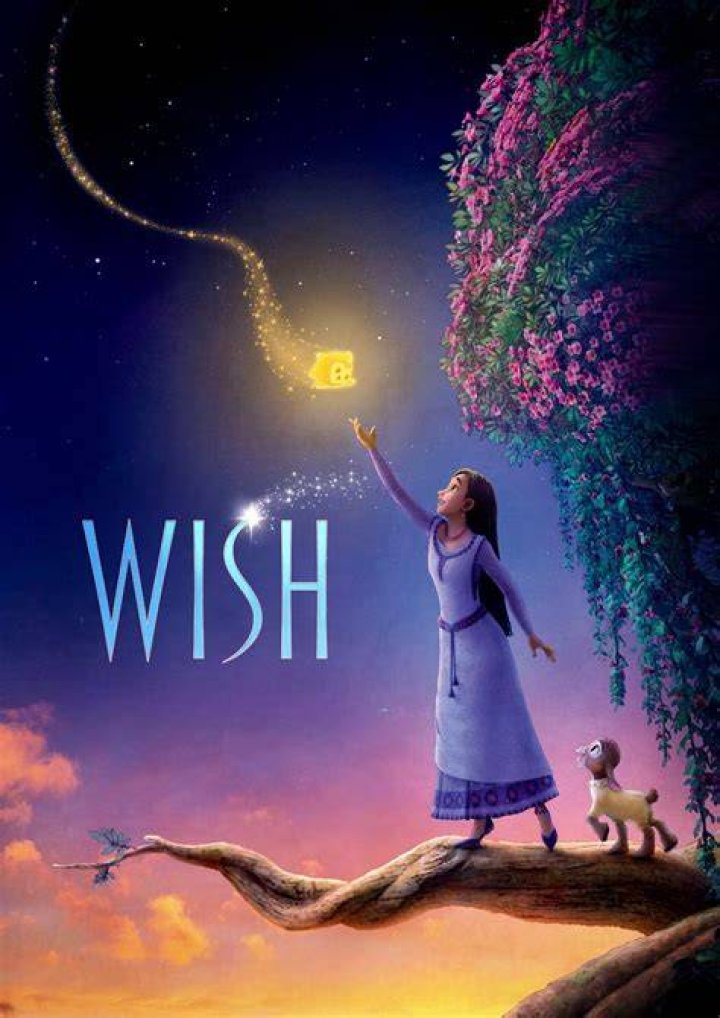 Disney Wish Poster