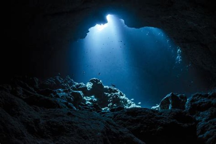 Dive Or Delve: Exploring The Depths Of Knowledge And Experience