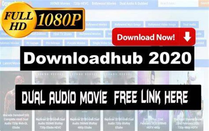Downloadhub 2020 300MB Dual Audio Bollywood Movies Download