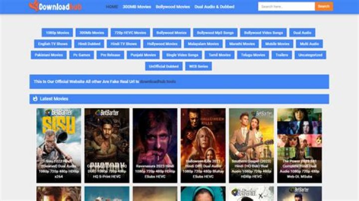 Downloadhubs Dual Audio Bollywood Movies Download