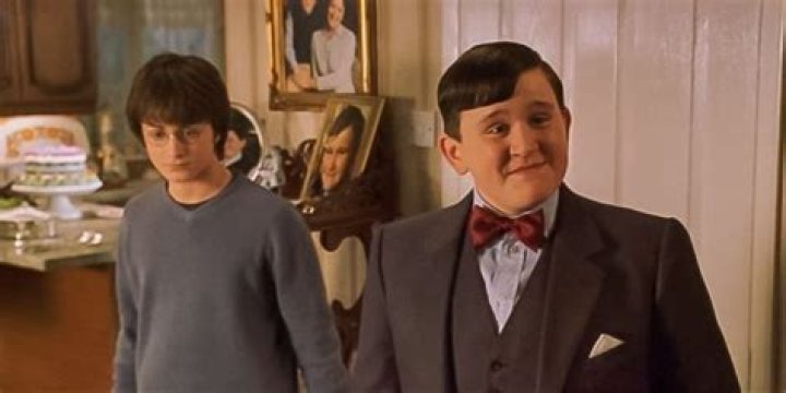 Dudley and Harry say goodbye in Harry Potter and the Deathly Hallows.