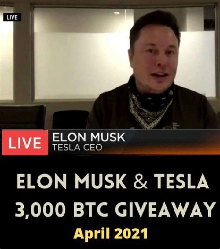 Elon Musk and Tesla Giveaways Free Bitcoins Tesla, Giveaway, Coding