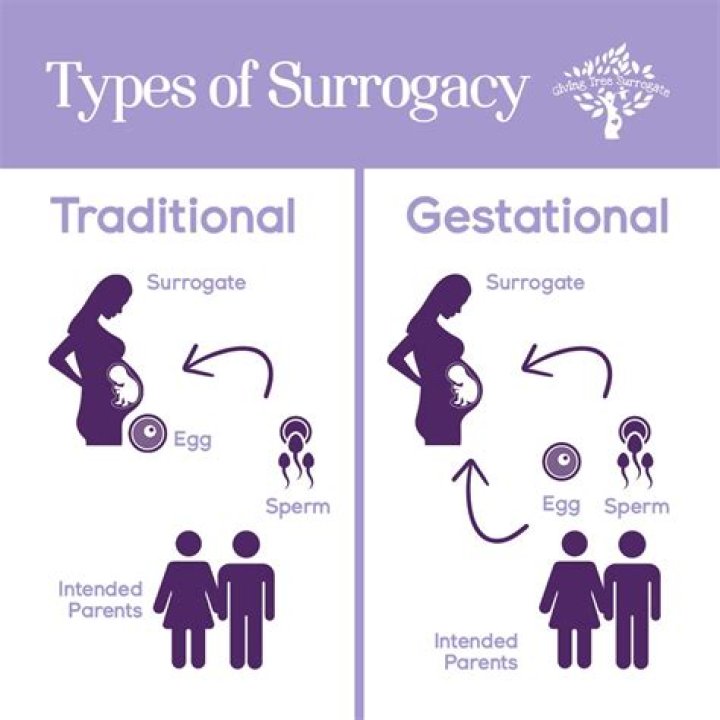 Exploring Notions of Surrogacy and Love in Times of Technology ELEPHANT