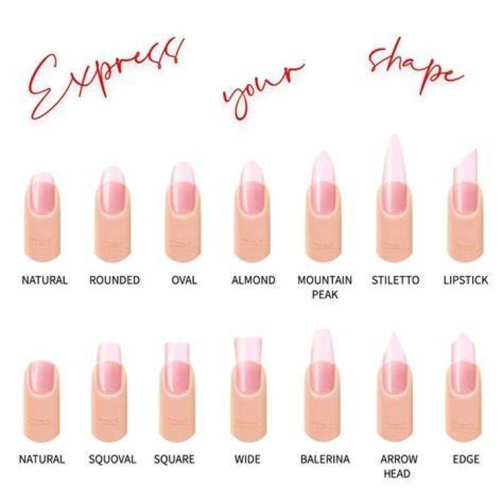Exploring The Diverse World Of Acrylic Nails Shapes
