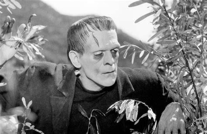 Frankenstein 1931