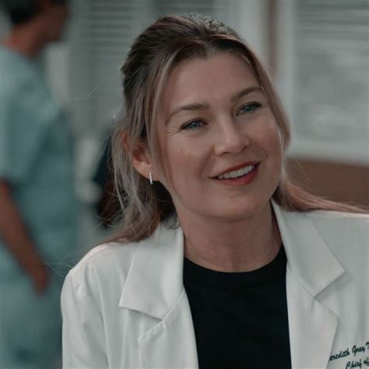Greys Anatomy Meredith Grey