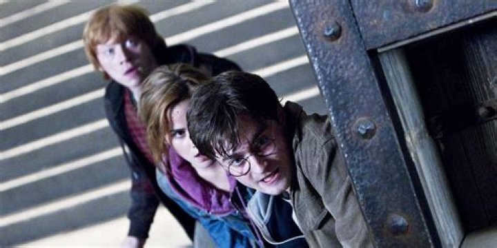 Harry Potter Ron Hermione Battle of Hogwarts