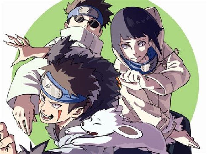 Hinata, Shino, Naruto, and Kiba standing side by side