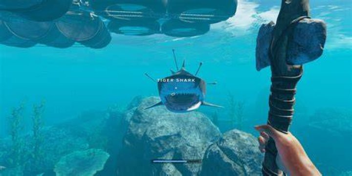 How to Kill a Shark in Stranded Deep