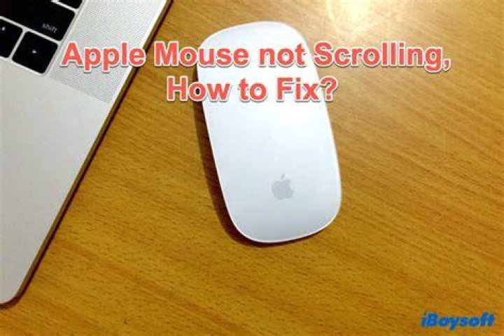 How To Scroll Down On A MacBook Without A Mouse