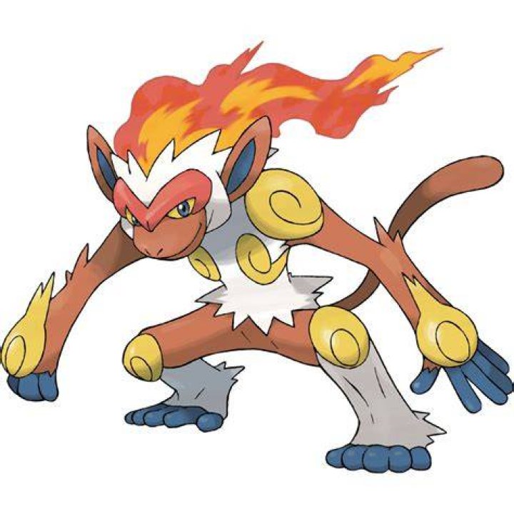Infernape Pokemon