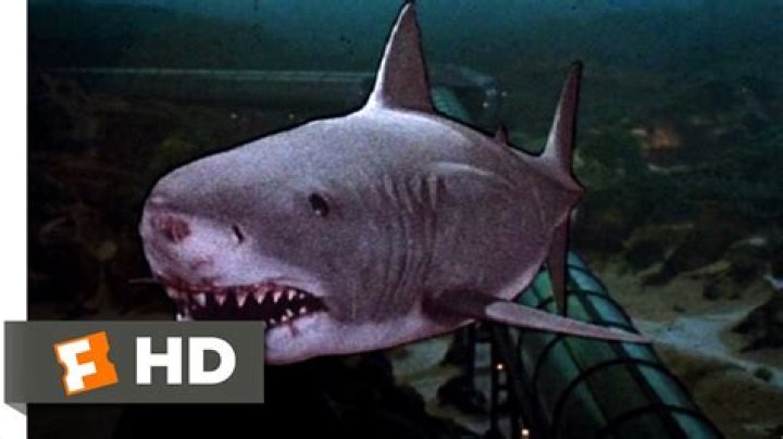 Jaws 3-D