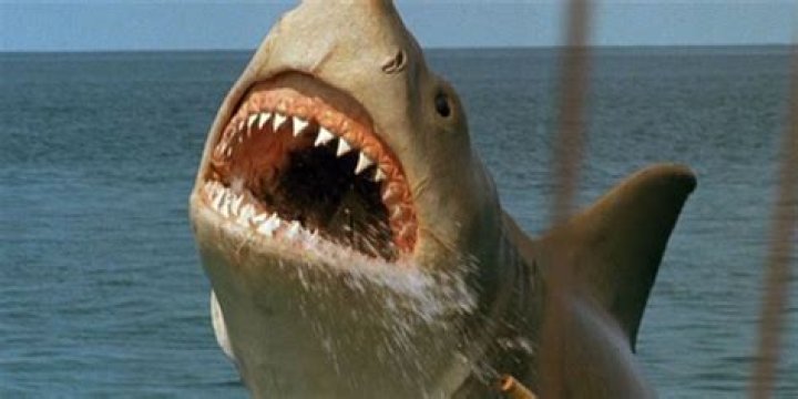 Jaws The Revenge Roaring Shark