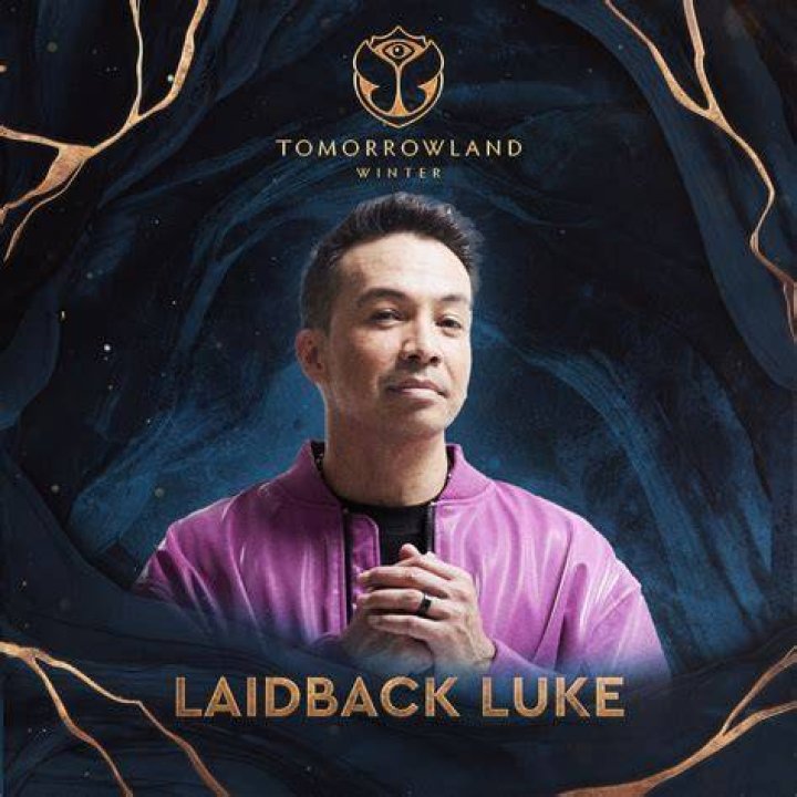 Laidback Luke weight