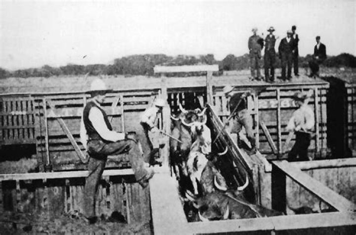 Last Cowtown on the Chisholm Trail