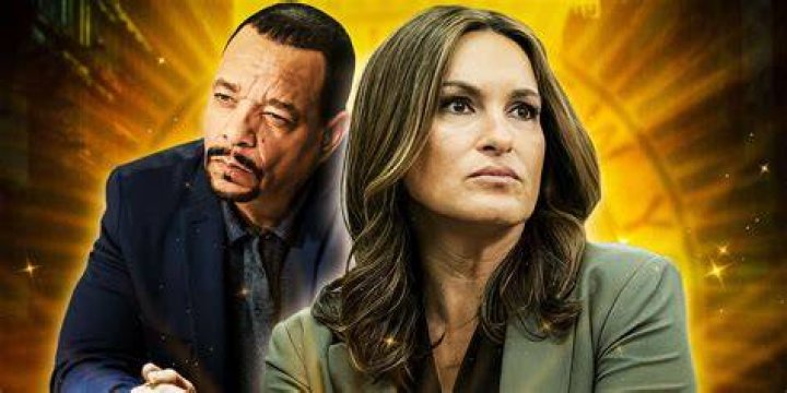 Law & Order: SVU - 10 Hilarious Memes That Will Make You Laugh