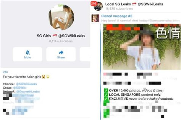 Local SG Leaks Telegram: SGWikiLeaks Under Investigation