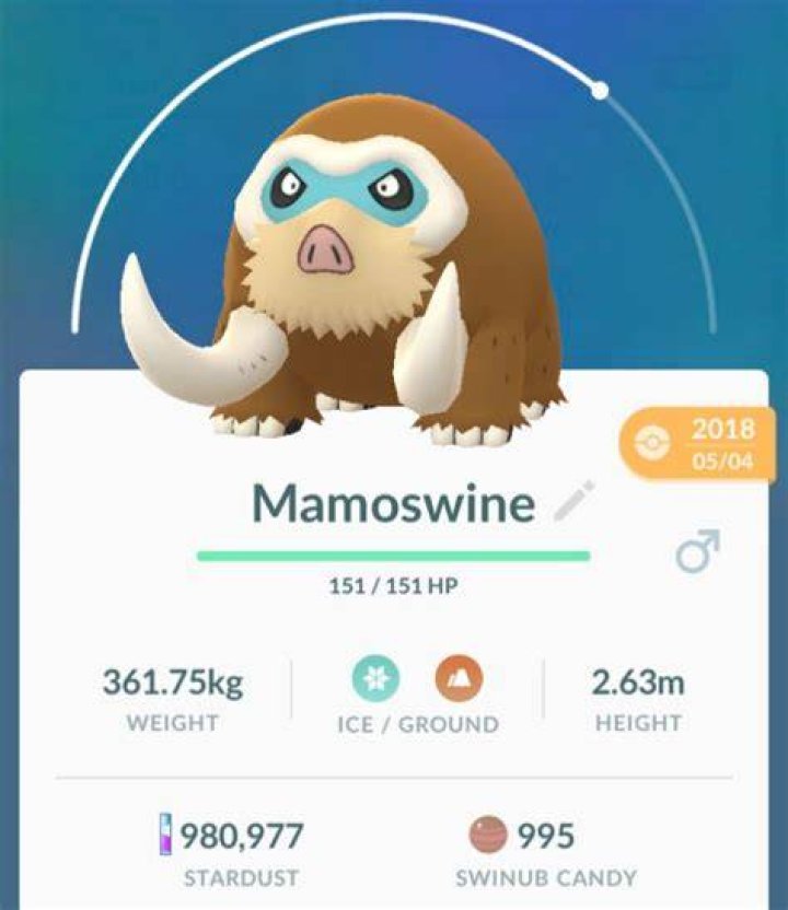 Mamoswine, Pokemon GO