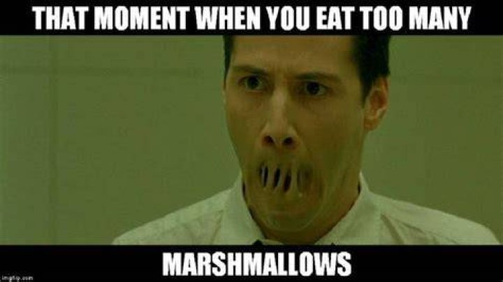 Matric marshmellow memes. resized