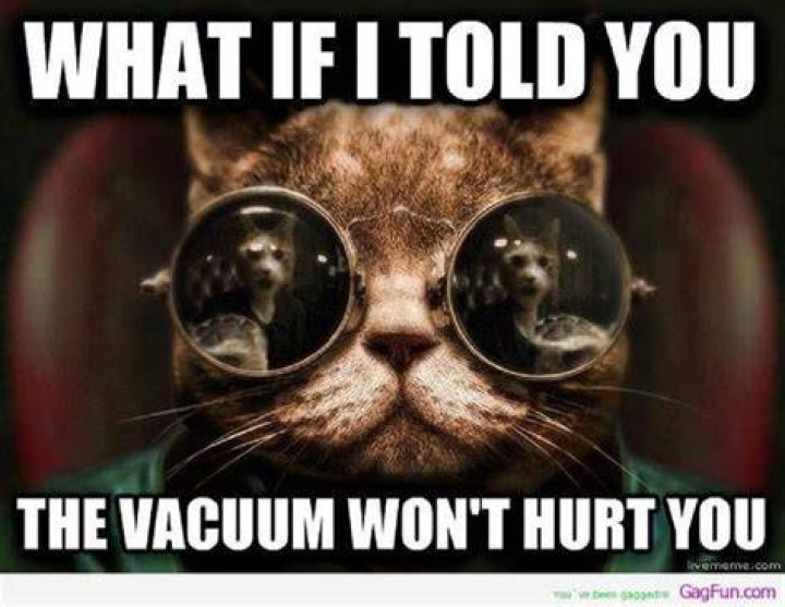 Matrix Cat meme resized