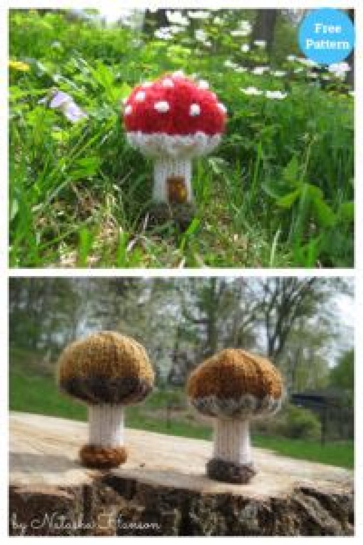 Merry Mushroom pattern Merry Mushroom pattern