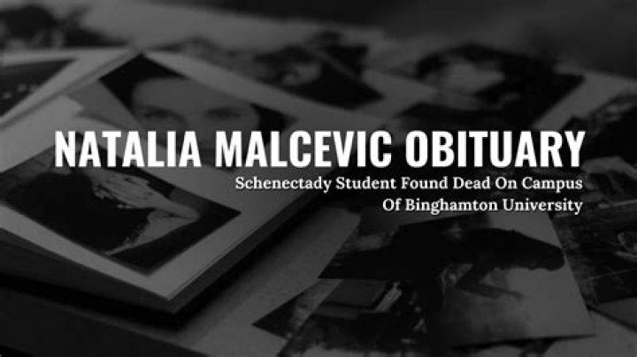 Natalia Malcevic LinkedIn: Binghamton University Student Majored In Computer Science
