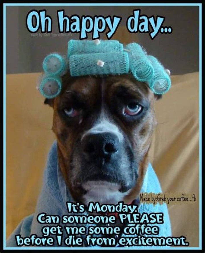 OMG! Why are Monday's not smoother? goodmorning mondays Funny good