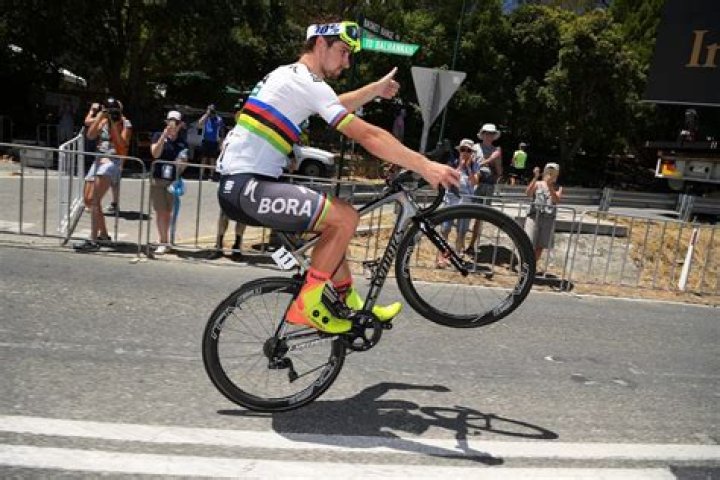 Peter Sagan weight