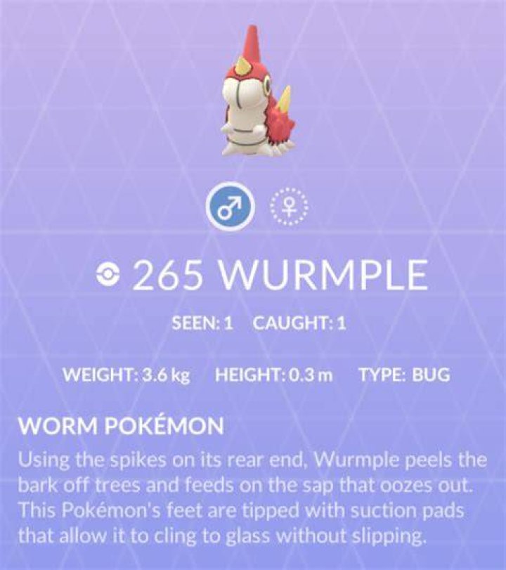 Pokémon GO Wurmple Evolution Guide Wurmple Overlay