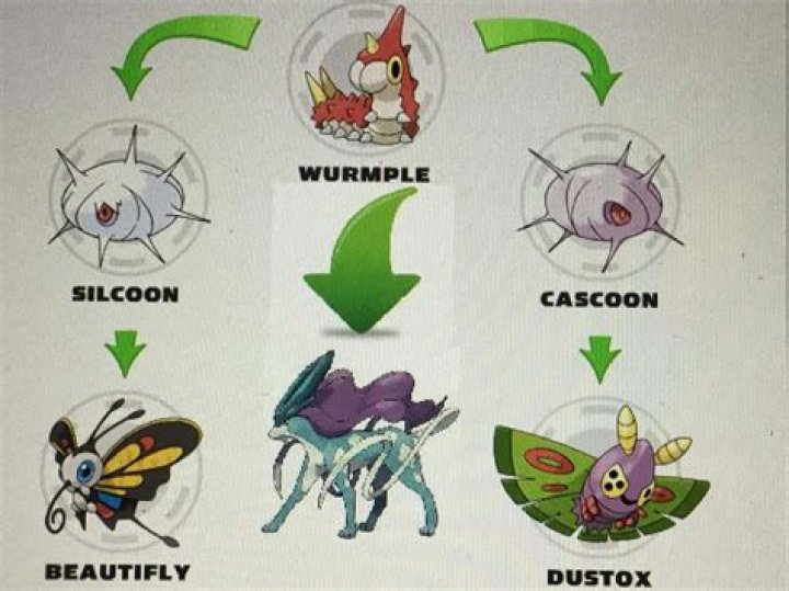 Pokémon GO: Wurmple Evolution Guide