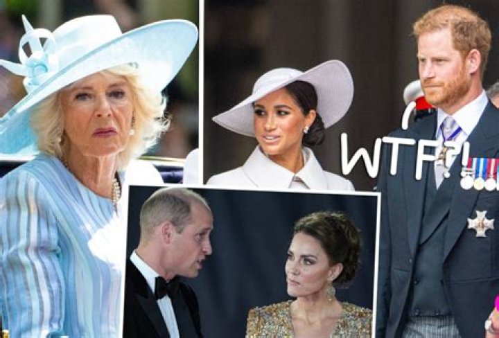Prince Harry Claims Queen Consort Camilla Leaked Princess Catherine