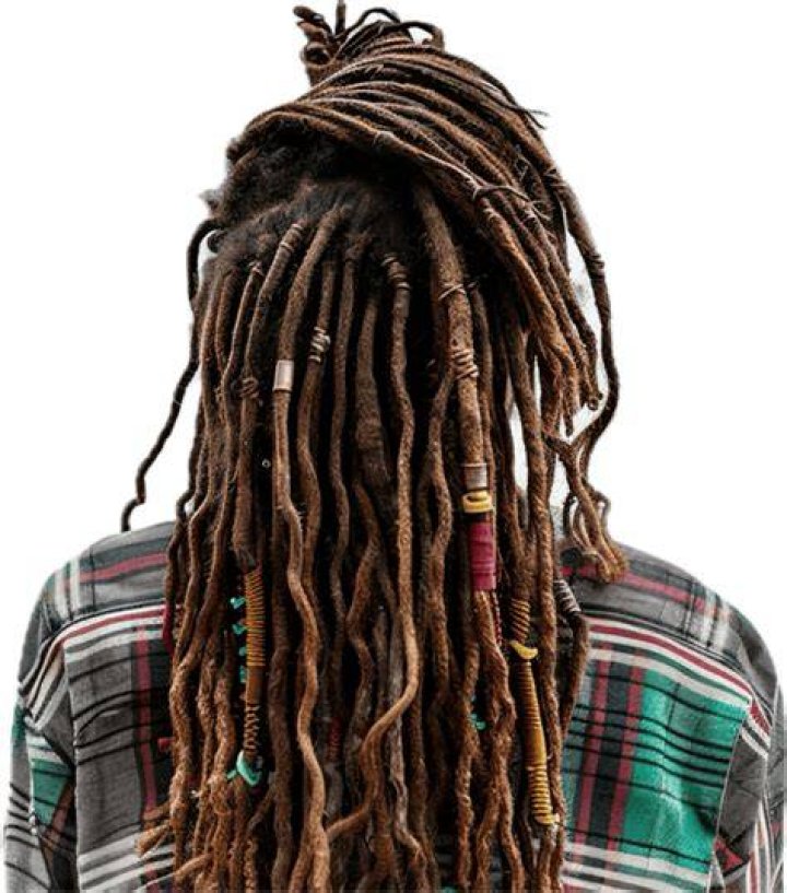 rastafarian braids rastafarian braids