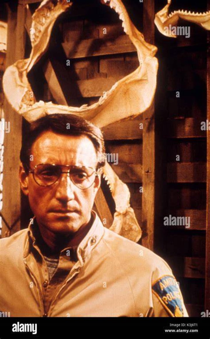 Roy Scheider Jaws 2