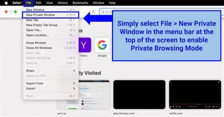 Safari Private Browsing
