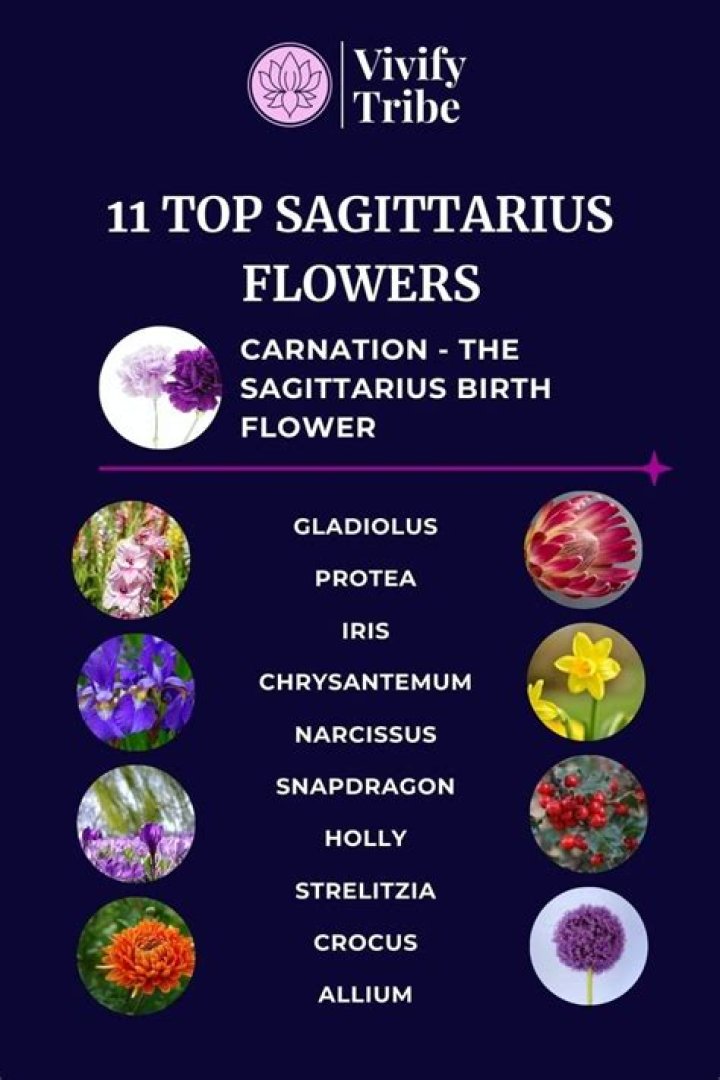 Sagittarius Flower Carnation & 10 Other Lucky Blossoms