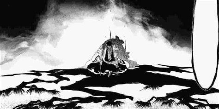 Shunsui activating his bankai in Bleach