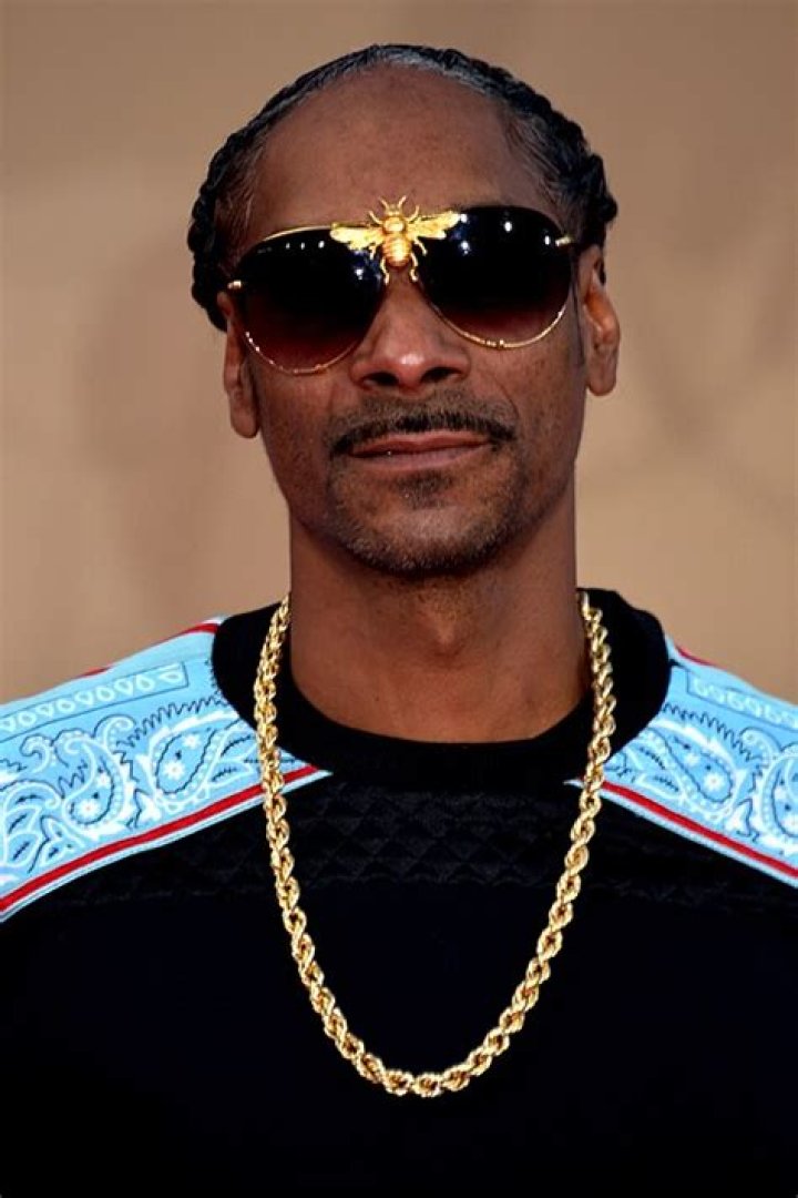 Snoop Dogg filmography Wikipedia