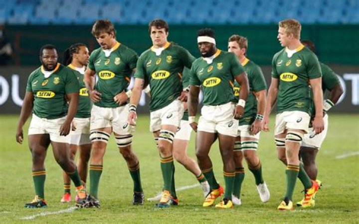 south african rugby team player profiles